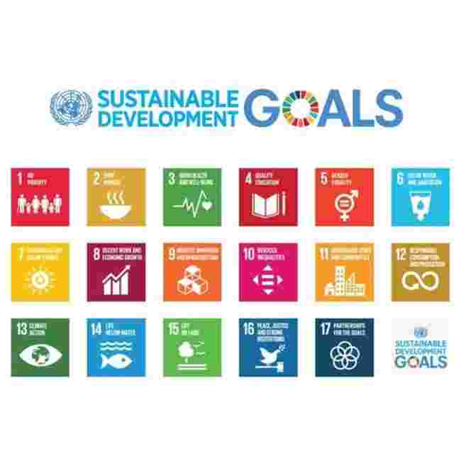 DMU được xếp hạng trong 30 trường đại học hàng đầu thế giới về tái chế và bền vững