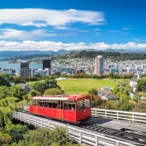 New Zealand Virtual Micro – Internship