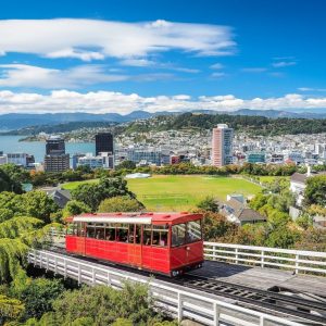 New Zealand Virtual Micro-internship