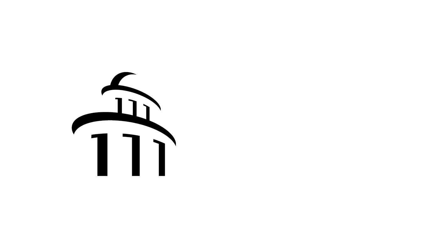 SEGi University