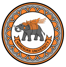 Naresuan University
