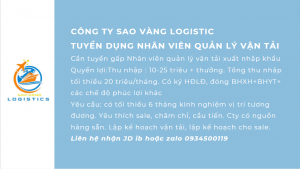 SAO VÀNG LOGISTIC TUYỂN DỤNG NHÂN VIÊN QUẢN LÝ VẬN TẢI