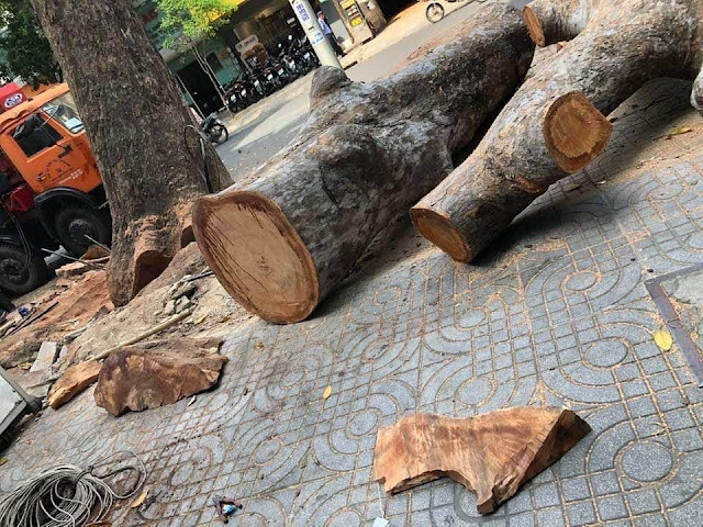 v25e125ba25bd2btr25c325aan2bg25c325b3c2bg25e125bb25972bd25e125ba25a7u_01