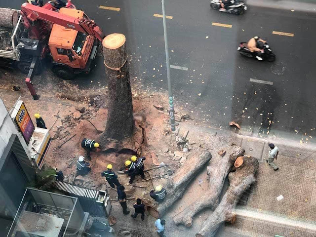 v25e125ba25bd2btr25c325aan2bg25c325b3c2bg25e125bb25972bd25e125ba25a7u_05