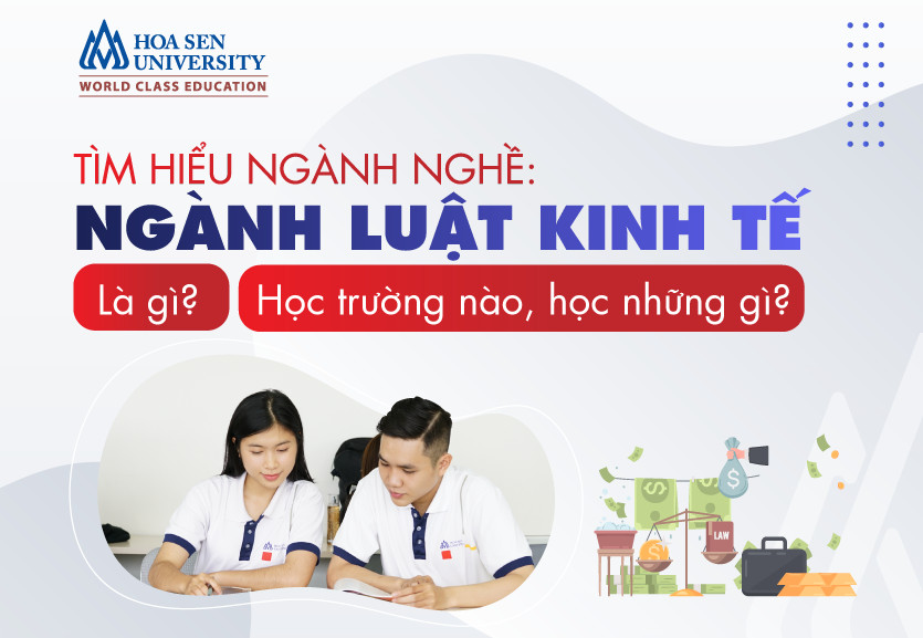 Ngành luật kinh tế là gì? Tìm hiểu chi tiết về ngành học luật kinh tế