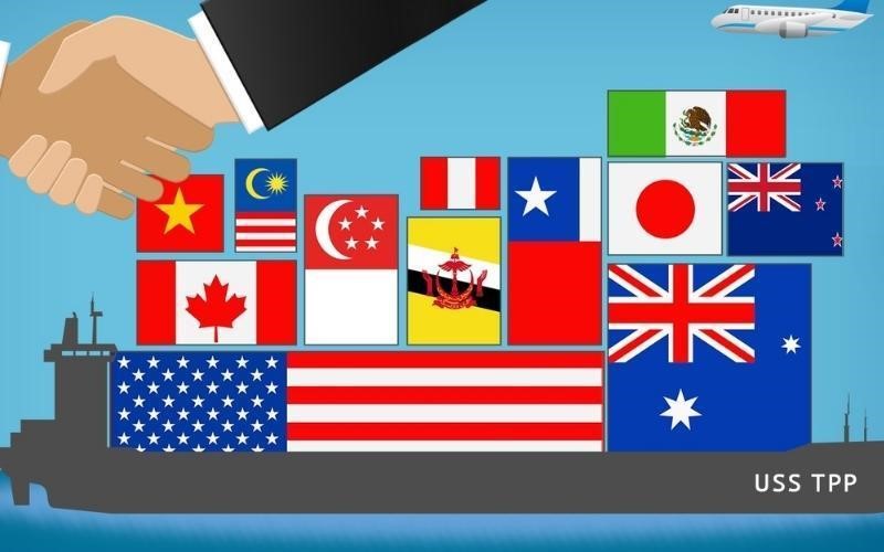Năm 2016, Việt Nam ký kết hiệp định đối tác xuyên Thái Bình Dương (TPP), thúc đẩy phát triển kinh tế đất nước