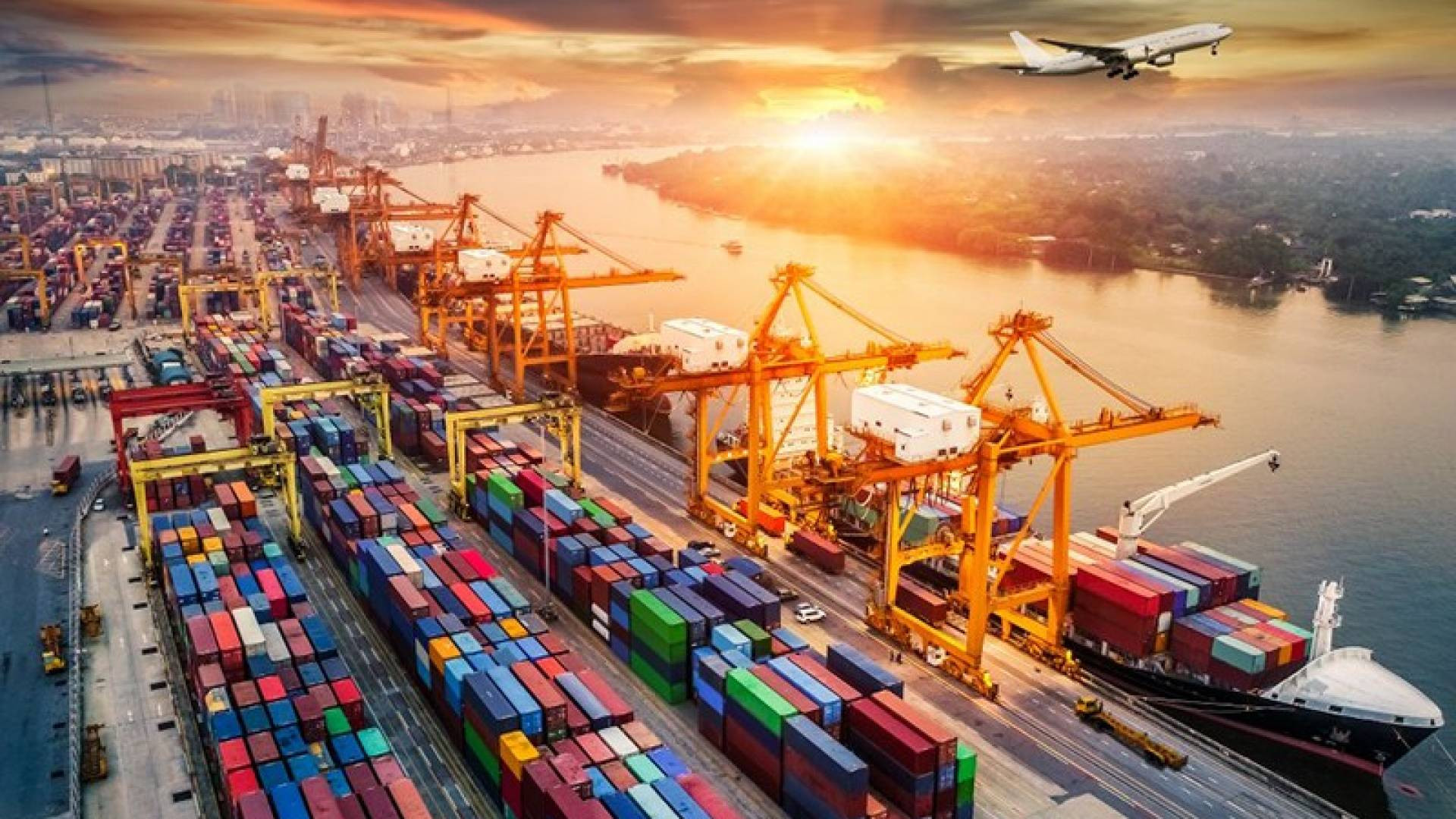 Sinh viên tốt nghiệp ngành học logistic ra làm nghề gì?