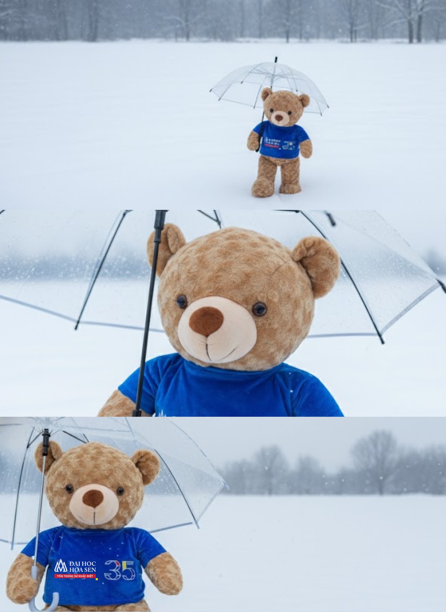 Không cần ngắm tuyết online, sinh viên Hoa Sen trải nghiệm mùa đông khắp năm châu