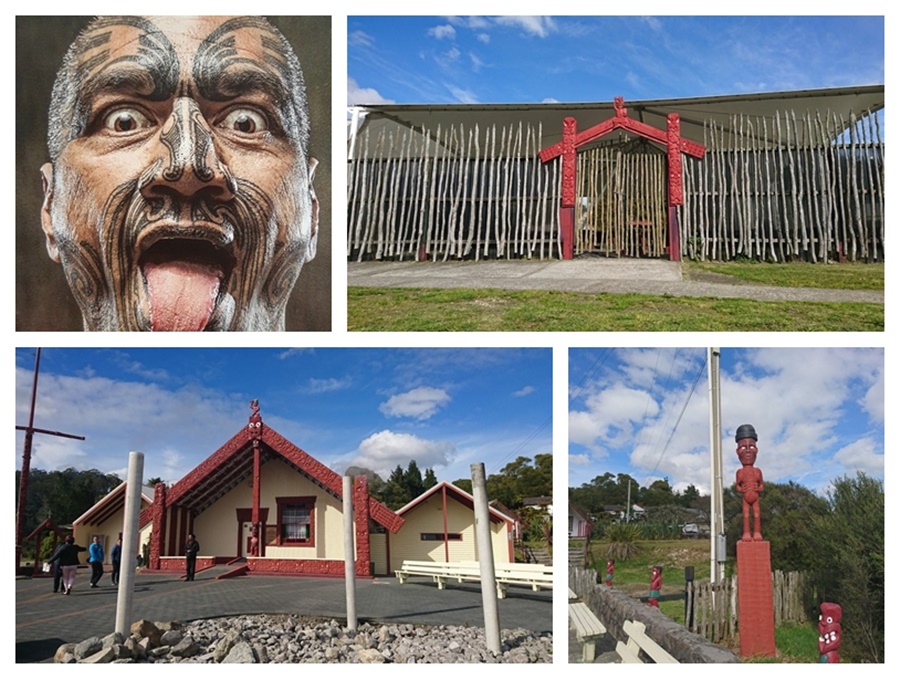 hop-tac-quoc-te-new-zealand_1_0